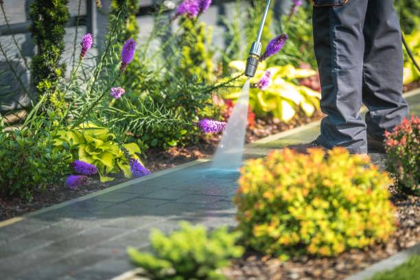 Professional  Pressure Washing Services in Forrest City, AR